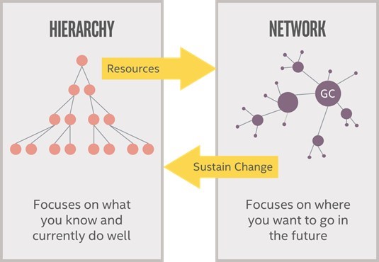 Gerarchia e network